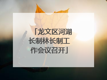 龙文区河湖长制林长制工作会议召开