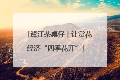 鹭江茶桌仔｜让赏花经济“四季花开”