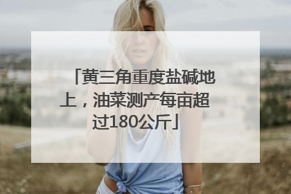 黄三角重度盐碱地上，油菜测产每亩超过180公斤