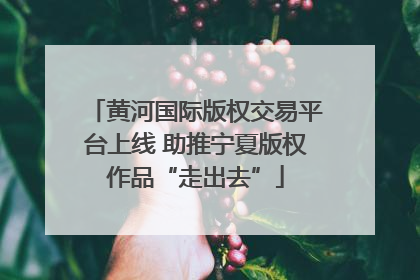 黄河国际版权交易平台上线 助推宁夏版权作品“走出去”