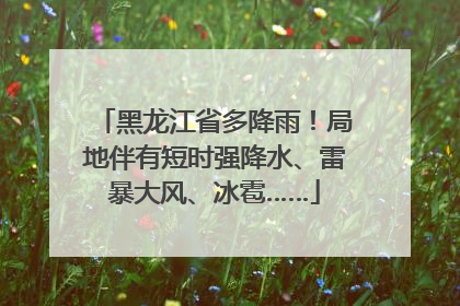 黑龙江省多降雨！局地伴有短时强降水、雷暴大风、冰雹……