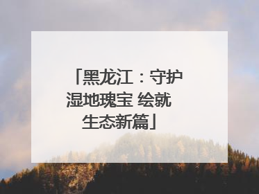 黑龙江：守护湿地瑰宝 绘就生态新篇