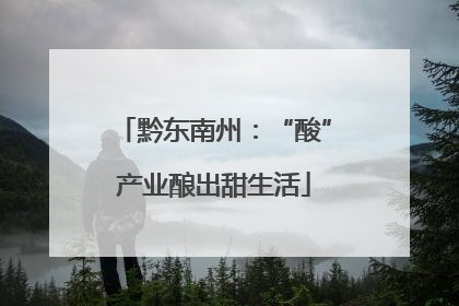 黔东南州：“酸”产业酿出甜生活