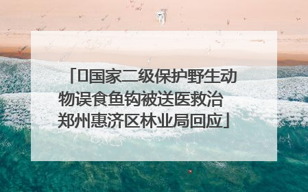 ﻿国家二级保护野生动物误食鱼钩被送医救治 郑州惠济区林业局回应