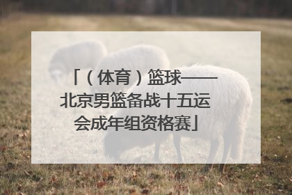 （体育）篮球——北京男篮备战十五运会成年组资格赛