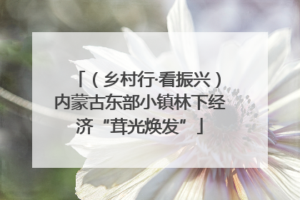 （乡村行·看振兴）内蒙古东部小镇林下经济“茸光焕发”