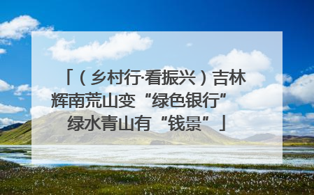 （乡村行·看振兴）吉林辉南荒山变“绿色银行” 绿水青山有“钱景”