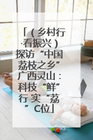（乡村行·看振兴）探访“中国荔枝之乡”广西灵山：科技“鲜”行 实“荔”C位