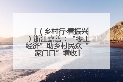 （乡村行·看振兴）浙江嘉善：“零工经济”助乡村民众“家门口”增收