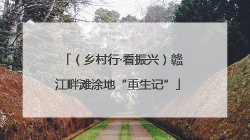 （乡村行·看振兴）赣江畔滩涂地“重生记”