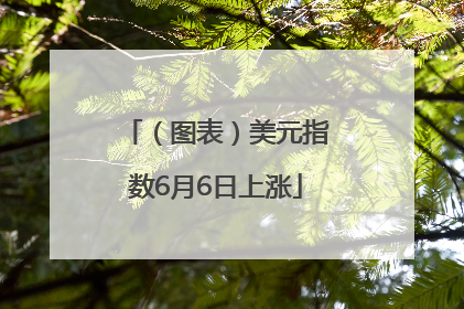 （图表）美元指数6月6日上涨