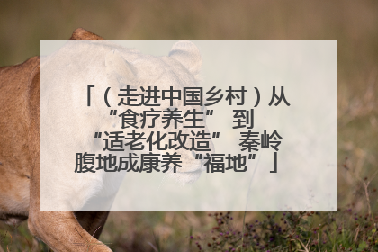 （走进中国乡村）从 “食疗养生” 到 “适老化改造” 秦岭腹地成康养“福地”