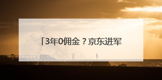 3年0佣金？京东进军酒旅，刘强东：行业毛利60%，我们只要20%！自曝曾请王兴吃饭“我要做外卖了”