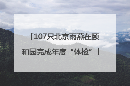 107只北京雨燕在颐和园完成年度“体检”