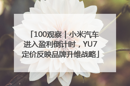 100观察｜小米汽车进入盈利倒计时，YU7定价反映品牌升维战略