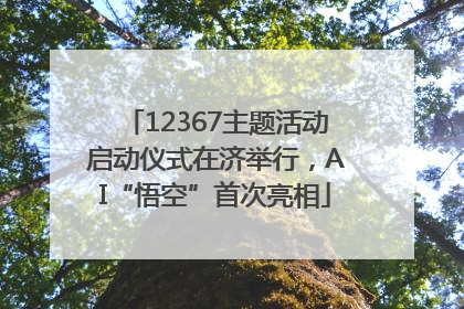 12367主题活动启动仪式在济举行，AI“悟空”首次亮相