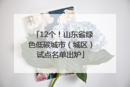 12个！山东省绿色低碳城市（城区）试点名单出炉