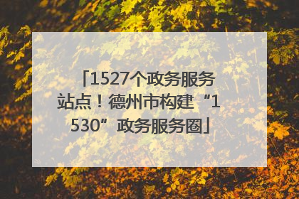 1527个政务服务站点！德州市构建“1530”政务服务圈