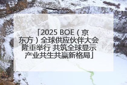 2025 BOE（京东方）全球供应伙伴大会隆重举行 共筑全球显示产业共生共赢新格局