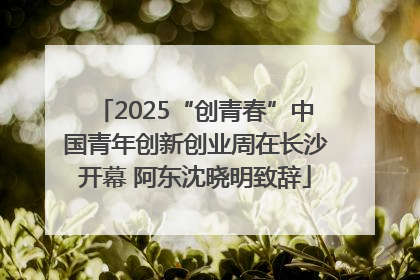 2025“创青春”中国青年创新创业周在长沙开幕 阿东沈晓明致辞