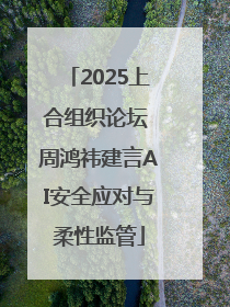 2025上合组织论坛 周鸿祎建言AI安全应对与柔性监管