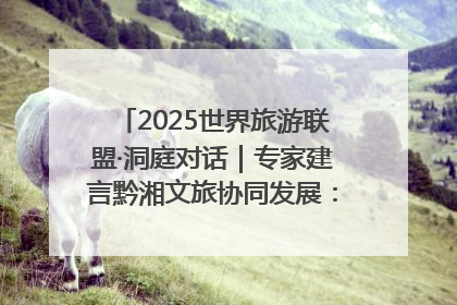 2025世界旅游联盟·洞庭对话｜专家建言黔湘文旅协同发展：聚焦产品稀缺性 深化区域经验共享