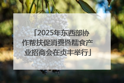 2025年东西部协作帮扶促消费暨糯食产业招商会在贞丰举行