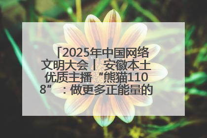2025年中国网络文明大会丨 安徽本土优质主播“熊猫1108”：做更多正能量的事情 带给大家快乐