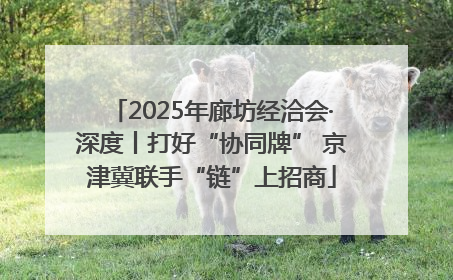 2025年廊坊经洽会·深度丨打好“协同牌” 京津冀联手“链”上招商