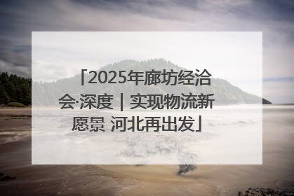 2025年廊坊经洽会·深度｜实现物流新愿景 河北再出发