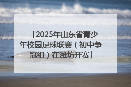 2025年山东省青少年校园足球联赛（初中争冠组）在潍坊开赛