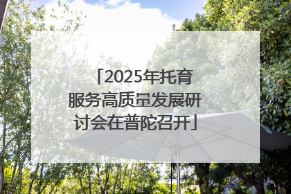 2025年托育服务高质量发展研讨会在普陀召开