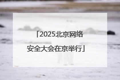 2025北京网络安全大会在京举行