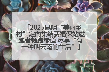 2025昆明“美丽乡村”定向集结赛福保站邀跑者畅跑绿道 尽享“有一种叫云南的生活”