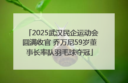 2025武汉民企运动会圆满收官 乔万尼59岁董事长率队羽毛球夺冠