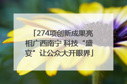 274项创新成果亮相广西南宁 科技“盛宴”让公众大开眼界