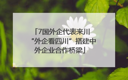7国外企代表来川 “外企看四川”搭建中外企业合作桥梁