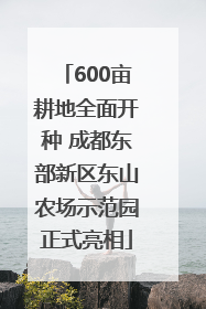 600亩耕地全面开种 成都东部新区东山农场示范园正式亮相