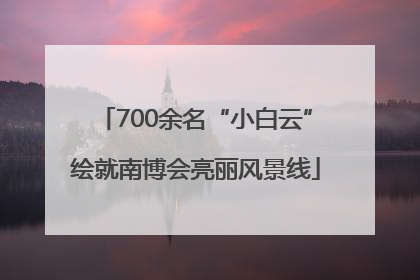 700余名“小白云”绘就南博会亮丽风景线