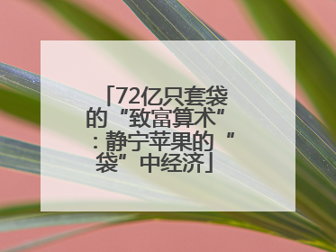 72亿只套袋的“致富算术”：静宁苹果的“袋”中经济
