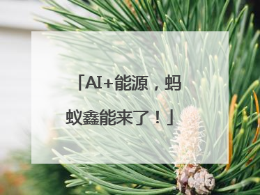 AI+能源，蚂蚁鑫能来了！