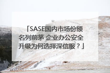 SASE国内市场份额名列前茅 企业办公安全升级为何选择深信服？