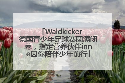 Waldkicker德国青少年足球赛圆满闭幕，指定营养伙伴inne因你陪伴少年前行